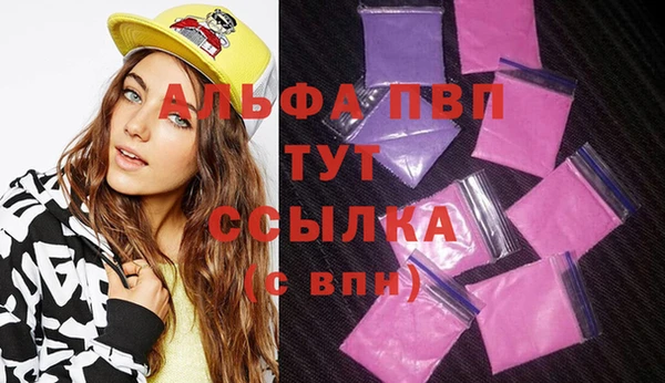 индика Алексин