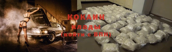 индика Алексин