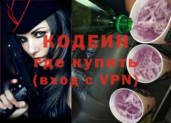 хмурый Алзамай