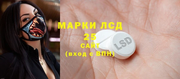 хмурый Алзамай