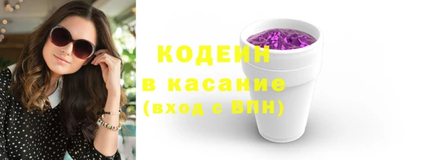 хмурый Алзамай