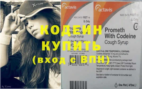 хмурый Алзамай