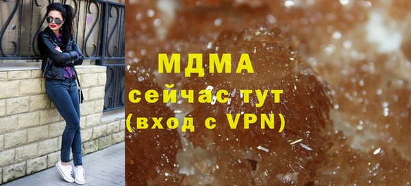 индика Алексин