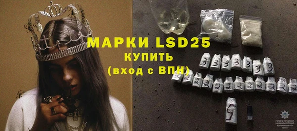 индика Алексин