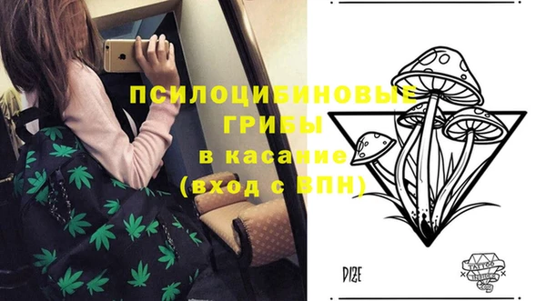 индика Алексин