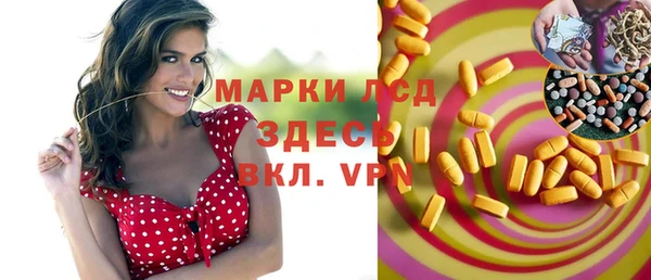 индика Алексин