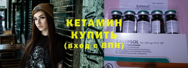 индика Алексин