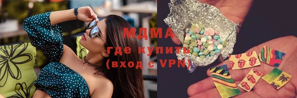 индика Алексин