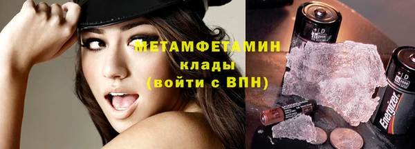 индика Алексин