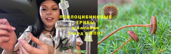 индика Алексин