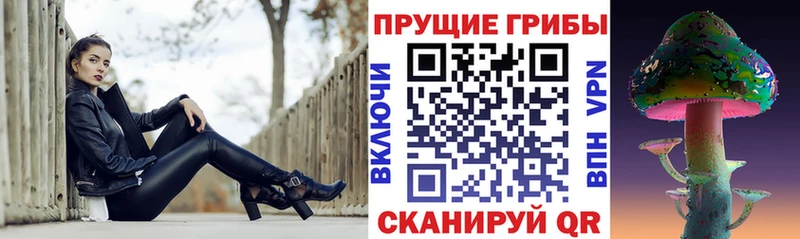 где можно купить Грайворон Псилоцибиновые грибы Magic Shrooms